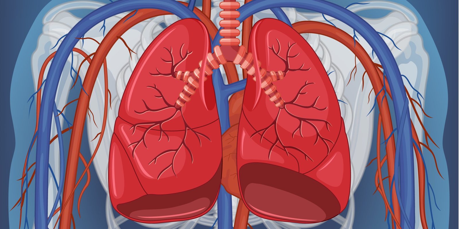 Lung Resilience: Harmony in Respiration for a Healthy Life