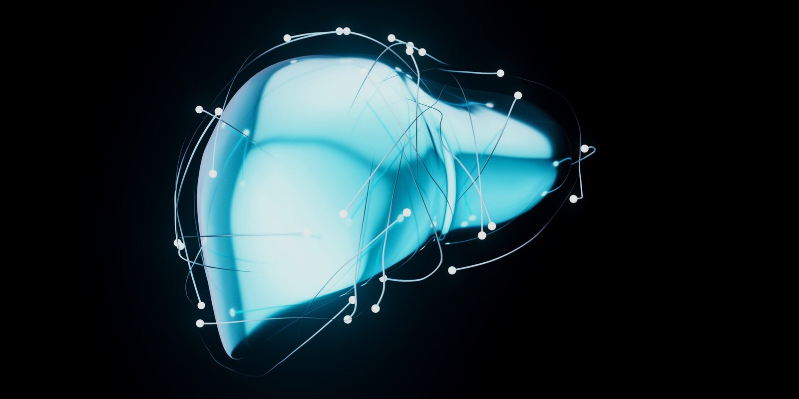 Liver Matters: A Comprehensive Exploration into its 12 Functions