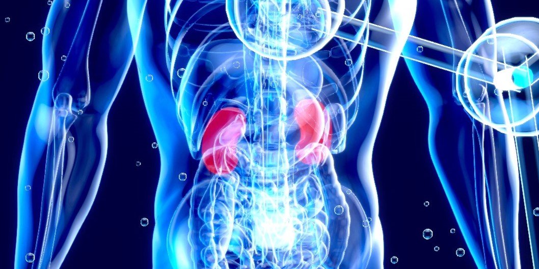 Kidney Dynamics: 9 Ways to Keep Renal Healthy