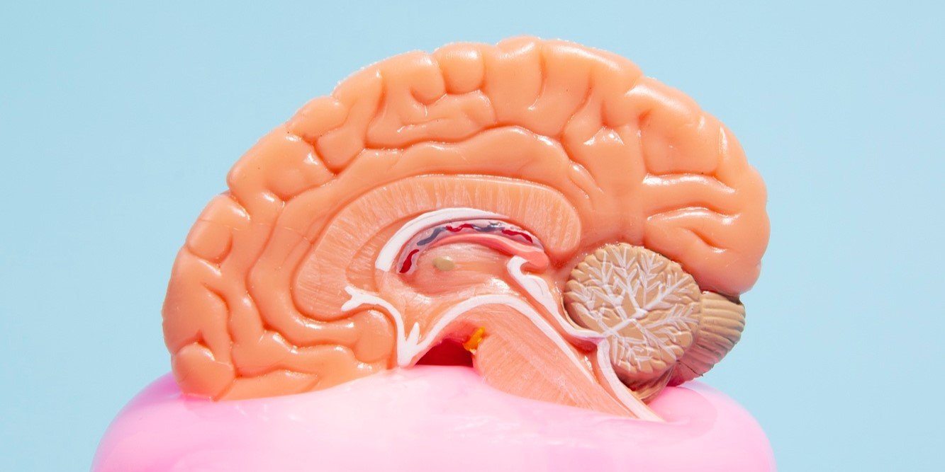 Unraveling the Secrets of the Pineal Gland: Melatonin Masterpiece