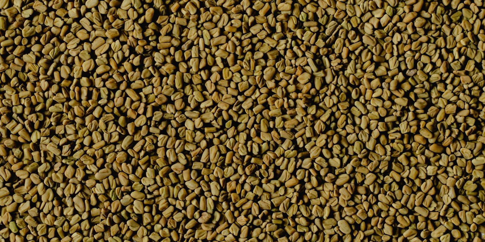 From Seed to Health: Fenugreek’s Great Nutritional Wonders